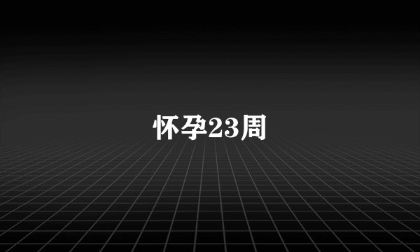 怀孕23周