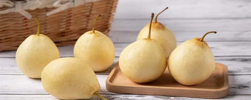 贡梨和雪梨的区别 贡梨和雪梨有什么区别