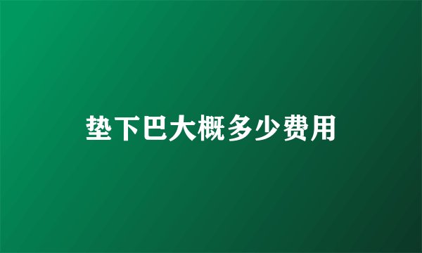 垫下巴大概多少费用
