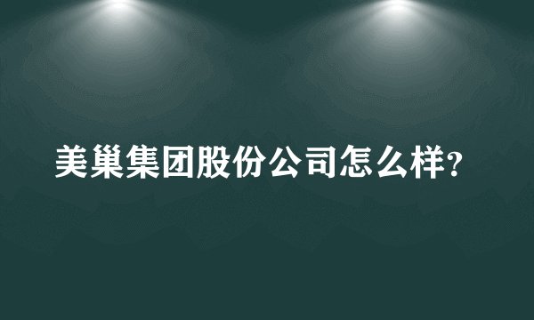 美巢集团股份公司怎么样？