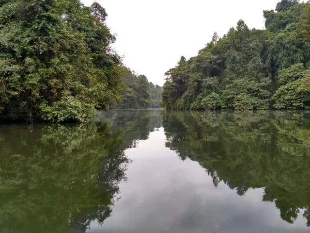 曝张爱朋曾暴打网红前女友，白百何为何还要跟他在一起？