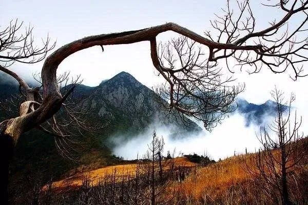 乐山的黑竹沟为什么被称为中国的百慕大？