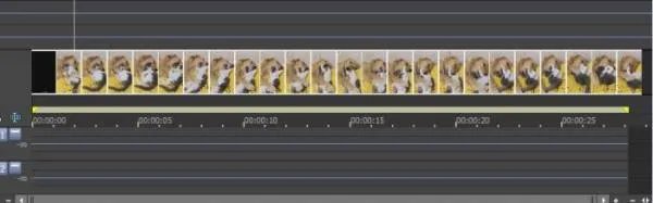 最常用的音频编辑软件是哪种?