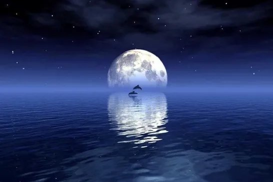 《水调歌头 中秋》全文和解释