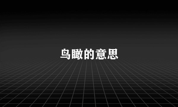 鸟瞰的意思