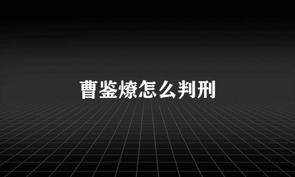 曹鉴燎怎么判刑