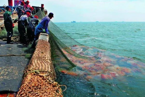 北海道渔场，北海渔场，纽芬兰渔场，秘鲁渔场