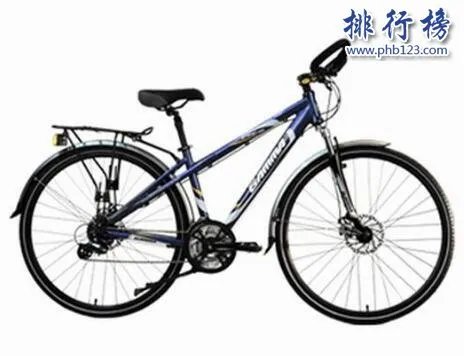 山地自行车十大品牌排行榜:凤凰、永安上榜 第4美国品牌