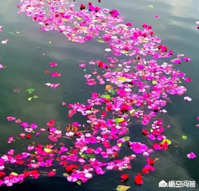 以“生死绝恋”为题,该怎么写一首藏头诗?