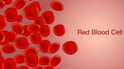 血液循环不好怎么调理