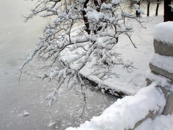沈阳的雪的介绍
