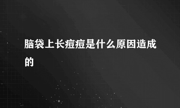 脑袋上长痘痘是什么原因造成的