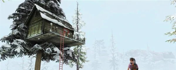 明日之后都有什么鱼