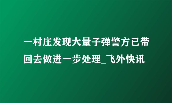 一村庄发现大量子弹警方已带回去做进一步处理_飞外快讯