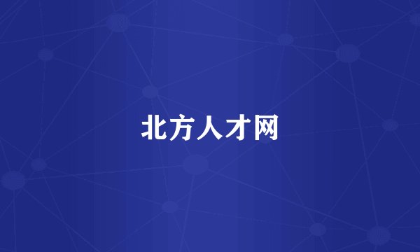 北方人才网