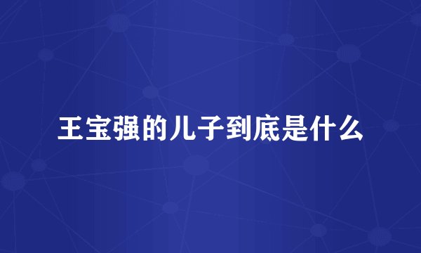 王宝强的儿子到底是什么