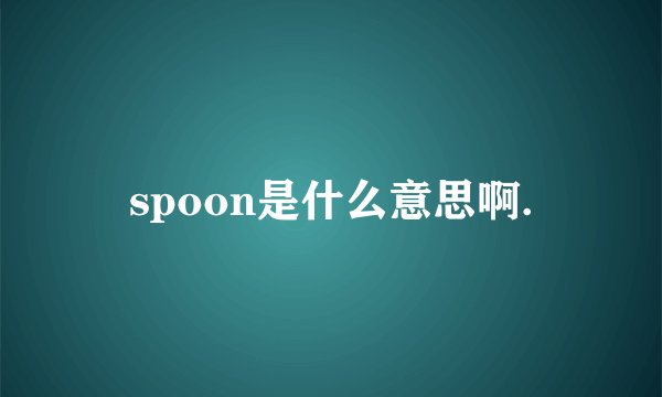 spoon是什么意思啊.