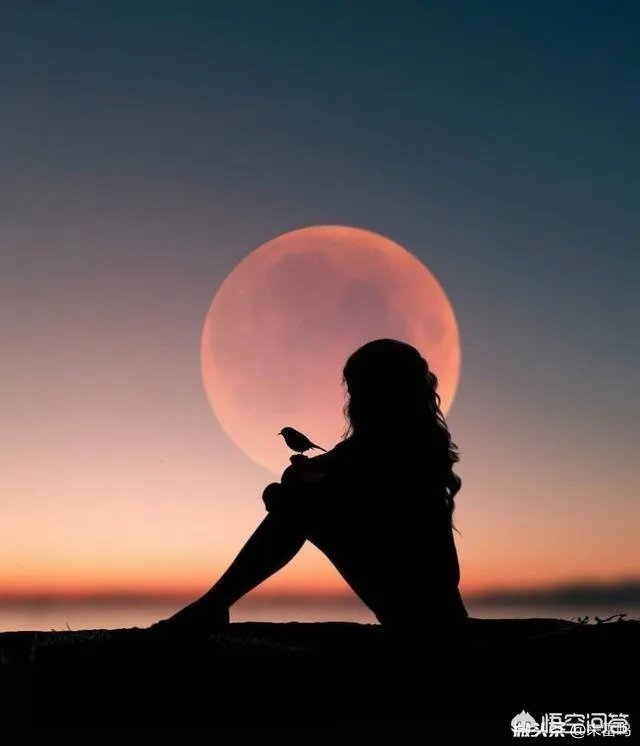 云南大山包景色如何，你怎么评价？