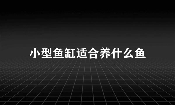 小型鱼缸适合养什么鱼