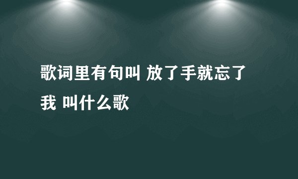 歌词里有句叫 放了手就忘了我 叫什么歌