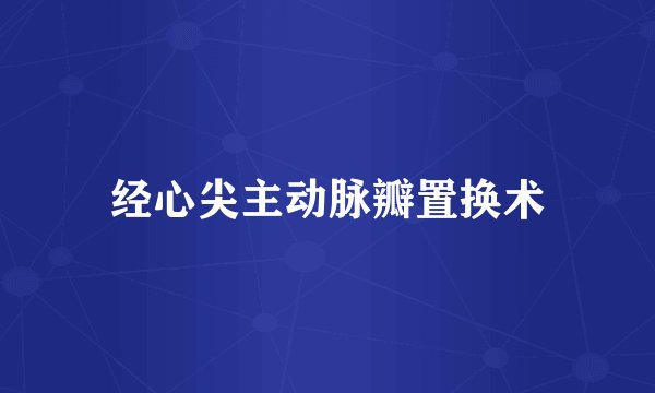 经心尖主动脉瓣置换术