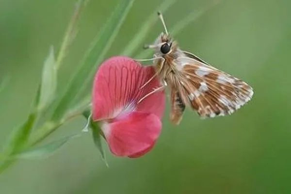 好听又特别的微信名字有哪些？