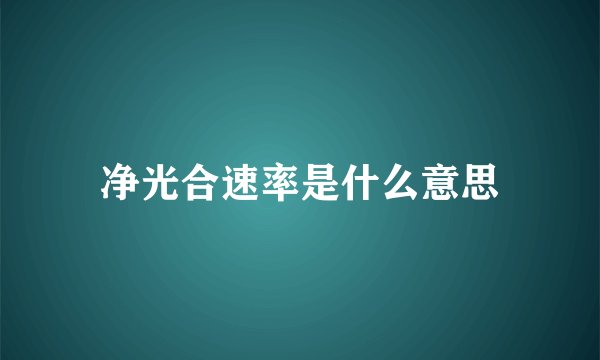 净光合速率是什么意思