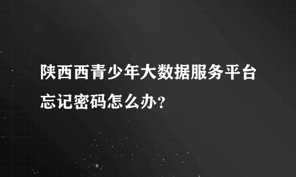 陕西西青少年大数据服务平台忘记密码怎么办？