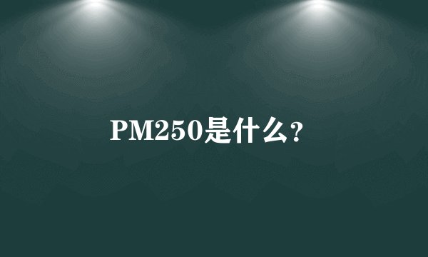 PM250是什么？