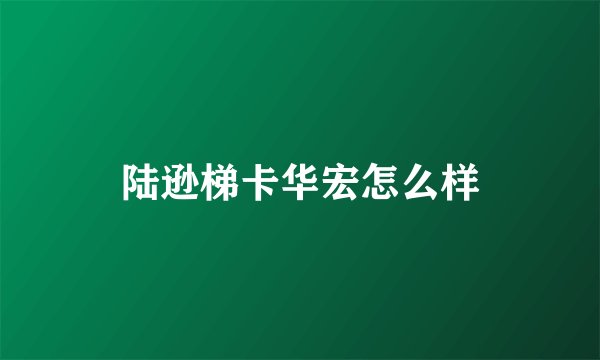 陆逊梯卡华宏怎么样