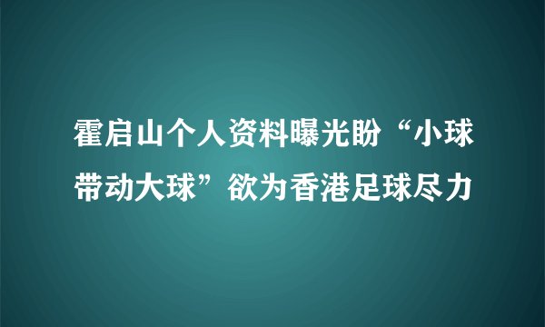 霍启山个人资料曝光盼“小球带动大球”欲为香港足球尽力