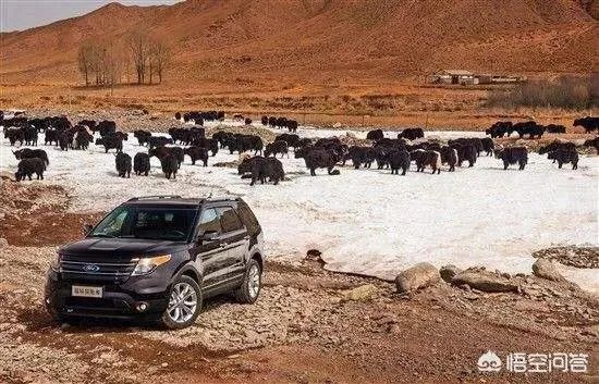 50万左右，买什么suv好呢？