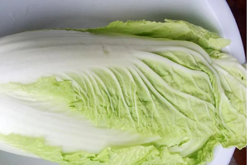 大白菜的营养价值及功效有哪些