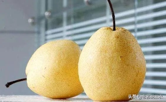 今日立秋，农村老人常说的“啃秋”是什么意思？