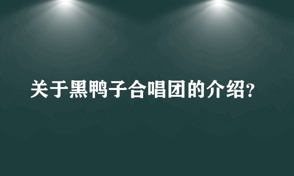 关于黑鸭子合唱团的介绍？