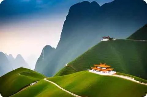 榕属详细资料大全