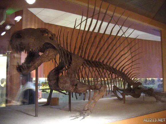 《方舟:生存进化》全物种原型对比图一览