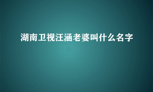 湖南卫视汪涵老婆叫什么名字