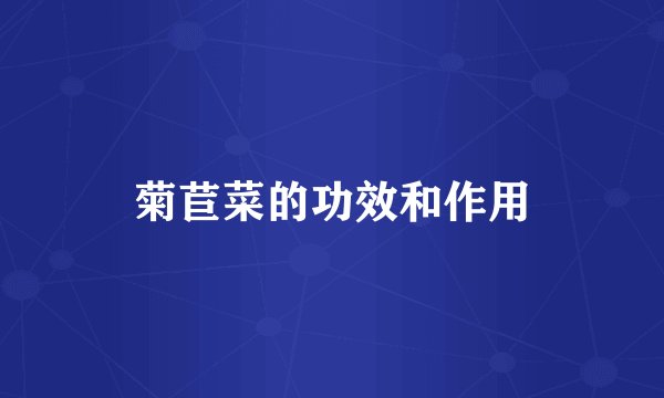 菊苣菜的功效和作用