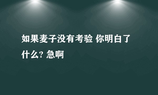 如果麦子没有考验 你明白了什么? 急啊