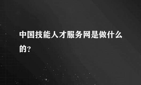 中国技能人才服务网是做什么的？