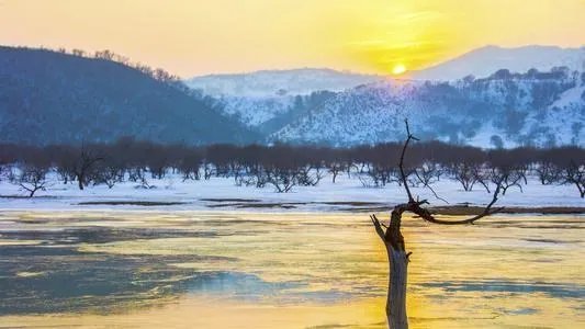 多彩多姿意思是什么?