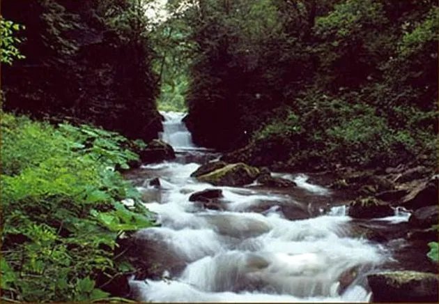 中国禁地有哪些恐怖事件 中国十大禁地排行榜