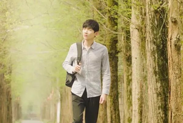 与晨同光小说免费阅读 小说结局是好是坏揭秘