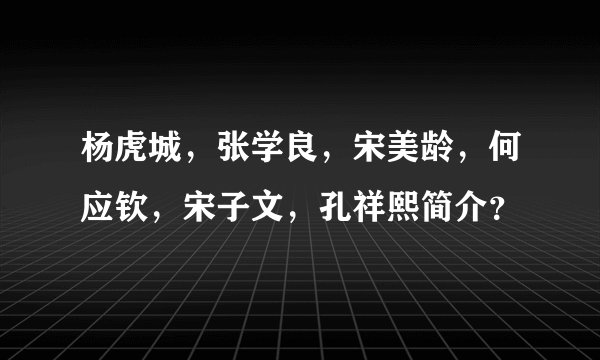 杨虎城，张学良，宋美龄，何应钦，宋子文，孔祥熙简介？