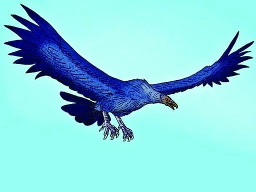 哈斯特鹰的介绍