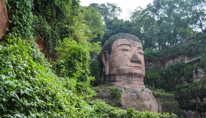 世界上最大的坐佛位于