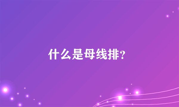 什么是母线排？