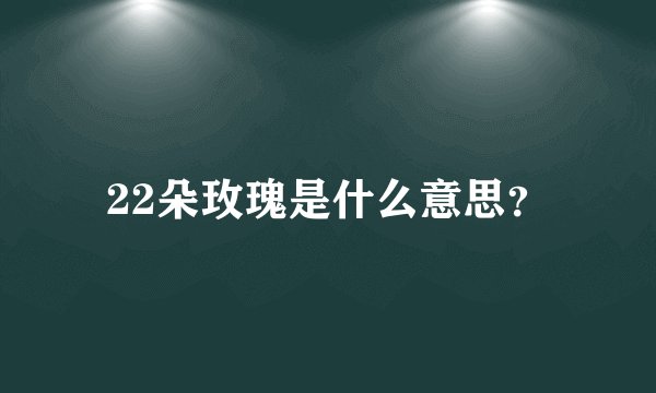 22朵玫瑰是什么意思？