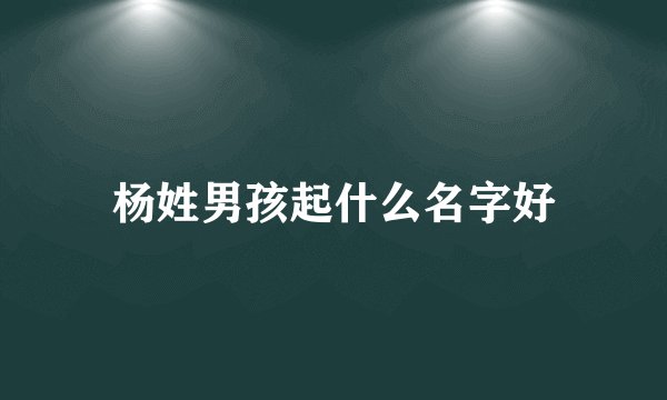 杨姓男孩起什么名字好